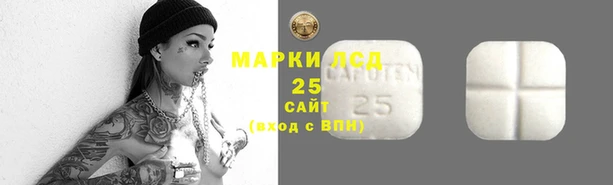 стафф Алзамай