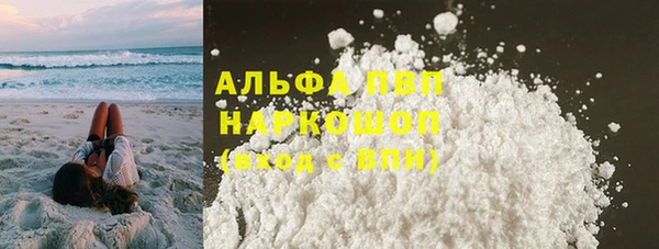 стафф Алзамай