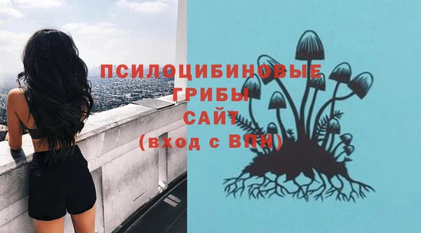 ГАЛЛЮЦИНОГЕННЫЕ ГРИБЫ Алексин