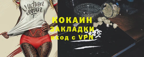стафф Алзамай
