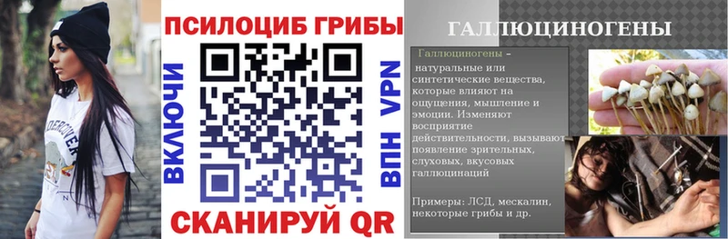 что такое наркотик  Пущино  Псилоцибиновые грибы GOLDEN TEACHER 